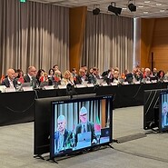 People at a conference table; in the foreground, a monitor showing the person ...